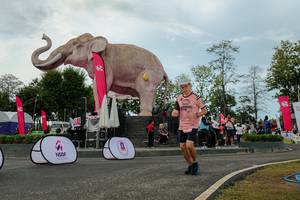 BIB: 
                            <button type="button" onclick="openModal(26528934)" class="btn btn-primary btn-sm float-right btn-popup" data-toggle="modal" data-target=".modal-high-quality">
                        <i class="fas fa-shopping-cart"></i> Add to Cart
                    </button>
                                            <button type="button" onclick="isThisMe(26528934, true)" class="btn btn-success btn-sm float-right btn-popup btn-isme hidden" data-toggle="tooltip" data-placement="bottom" title="นี่คือรูปของคุณใช่ไหม คลิกที่นี่เพื่อเอาเข้าอัลบั้ม">
                        <i class="fas fa-plus"></i> Add to album
                    </button>
                    <button type="button" onclick="isThisMe(26528934, false)" class="btn btn-warning btn-sm float-right btn-popup btn-isnotme hidden">
                        <i class="fas fa-ban"></i> Remove from album
                    </button>